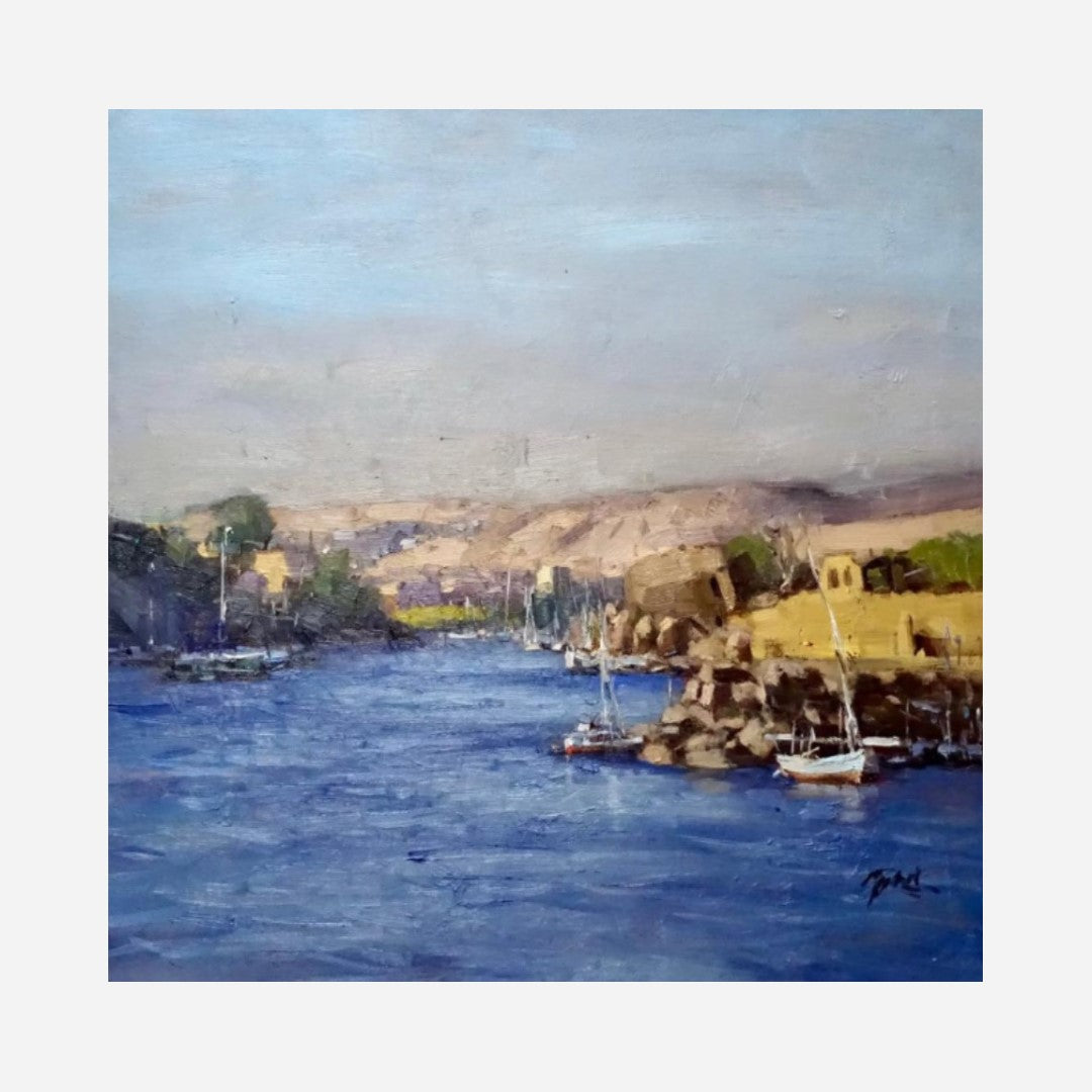 Nile River Valley (61 X 61 CM)