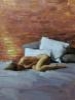 NUDE WOMAN BESIDE THE WALL